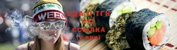 тгк Шали