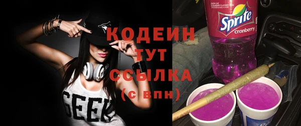 тгк Шали