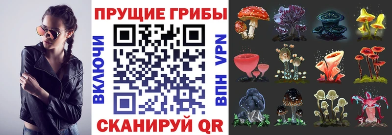 Купить закладки  Балаково  Псилоцибиновые грибы MAGIC MUSHROOMS 